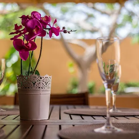 Orquidea Casa de Férias Corralejo